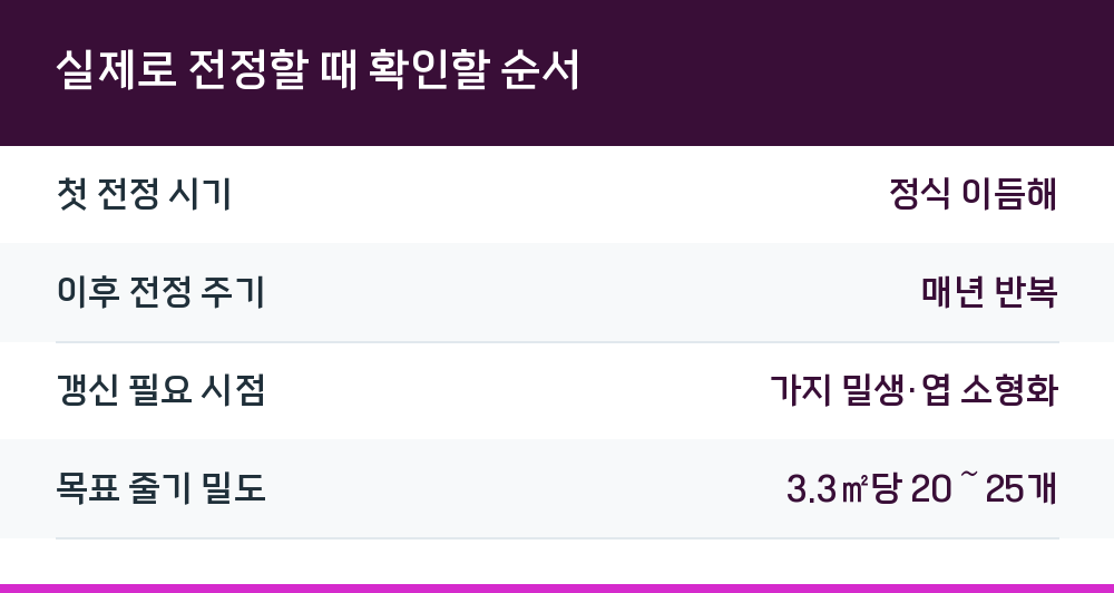 실제로 전정할 때 확인할 순서