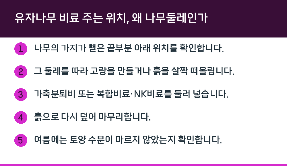 유자나무 비료 주는 위치, 왜 나무둘레인가