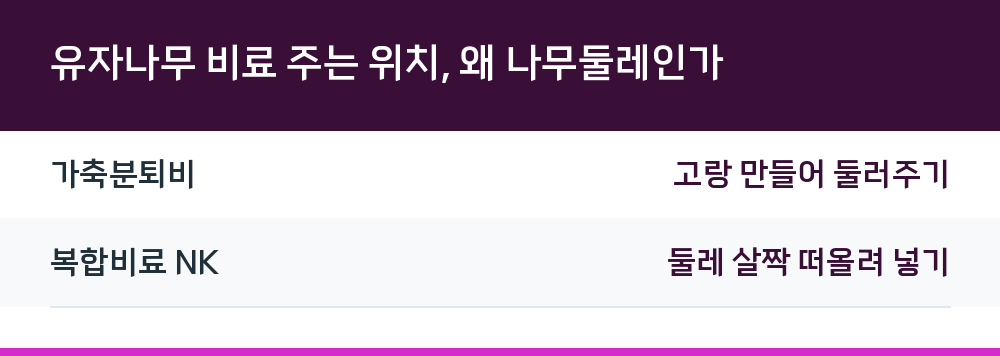 유자나무 비료 주는 위치, 왜 나무둘레인가