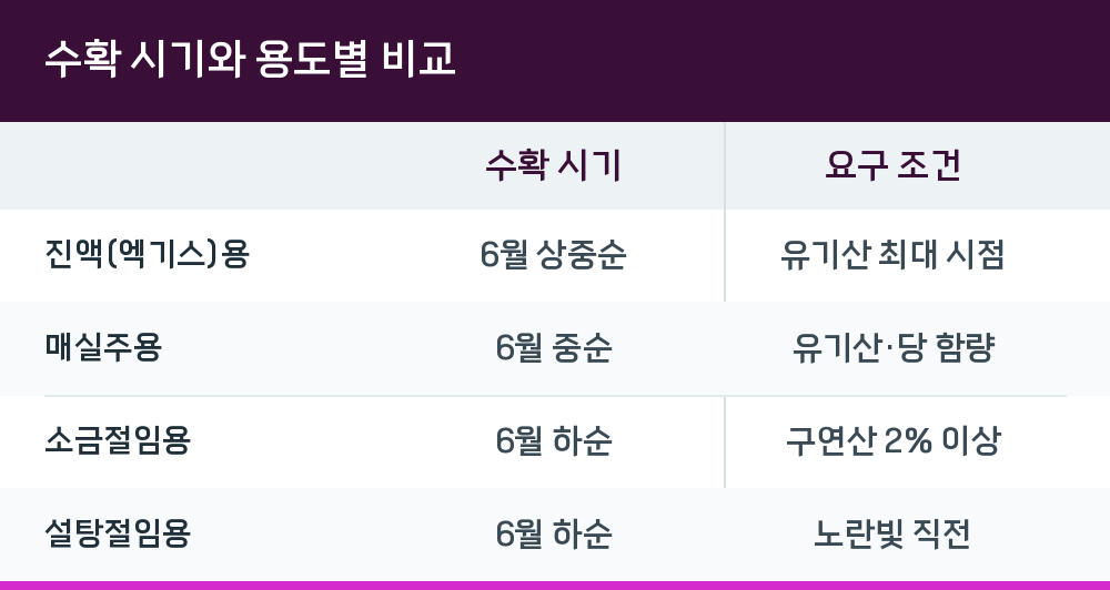 수확 시기와 용도별 비교