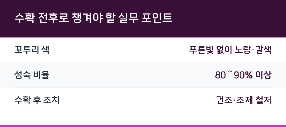 수확 전후로 챙겨야 할 실무 포인트