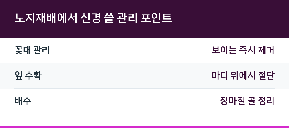 노지재배에서 신경 쓸 관리 포인트
