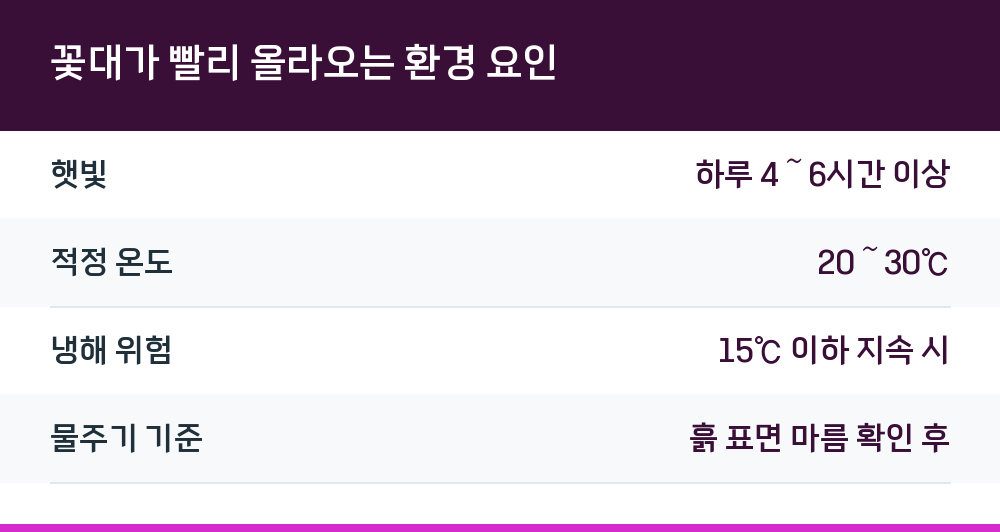 꽃대가 빨리 올라오는 환경 요인