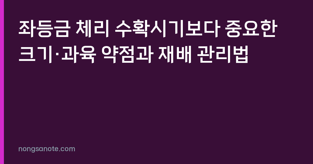 좌등금 체리 수확시기보다 중요한 크기·과육 약점과 재배 관리법