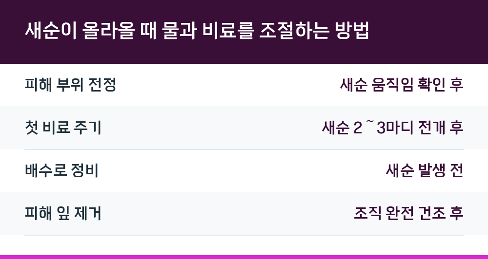새순이 올라올 때 물과 비료를 조절하는 방법