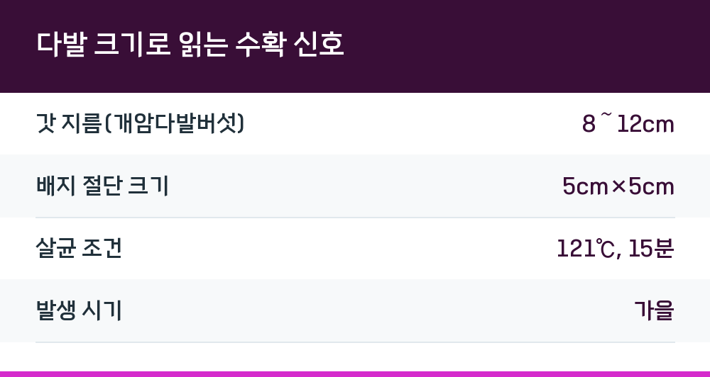 다발 크기로 읽는 수확 신호