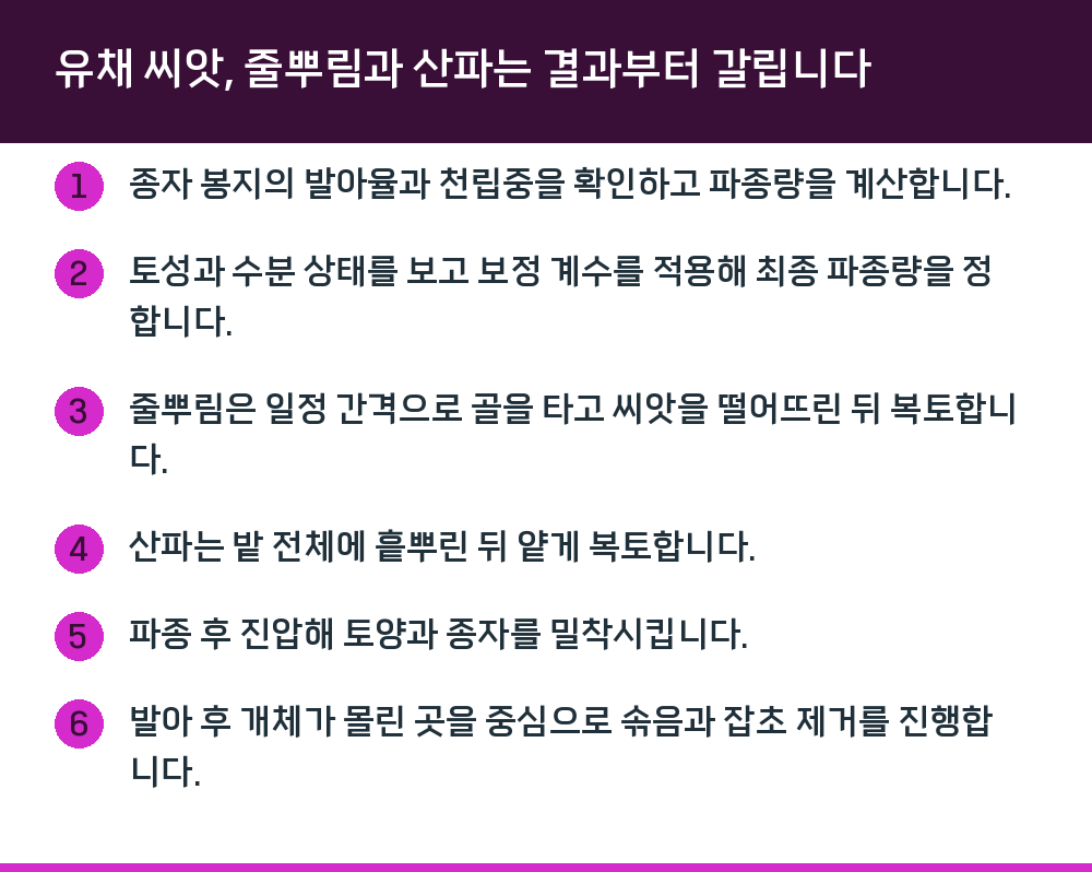 유채 씨앗, 줄뿌림과 산파는 결과부터 갈립니다