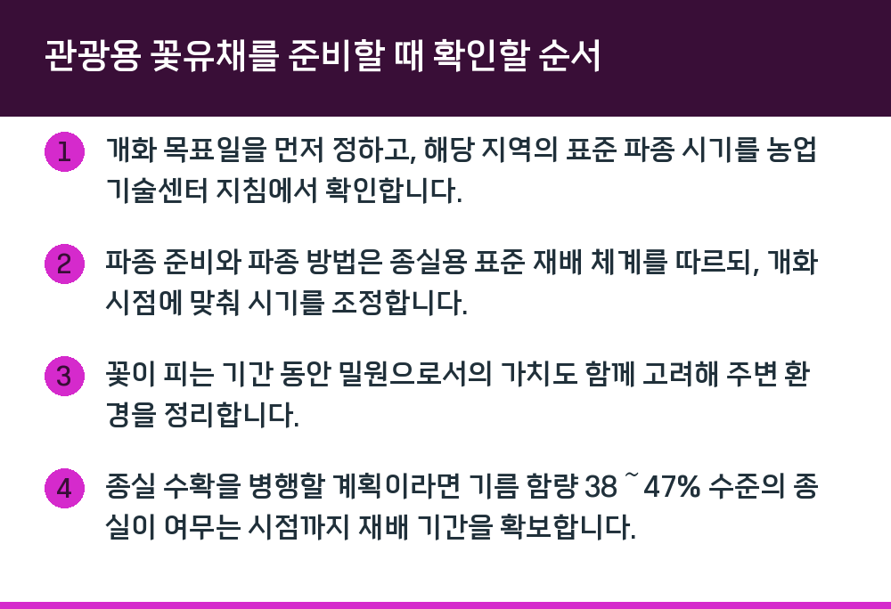 관광용 꽃유채를 준비할 때 확인할 순서