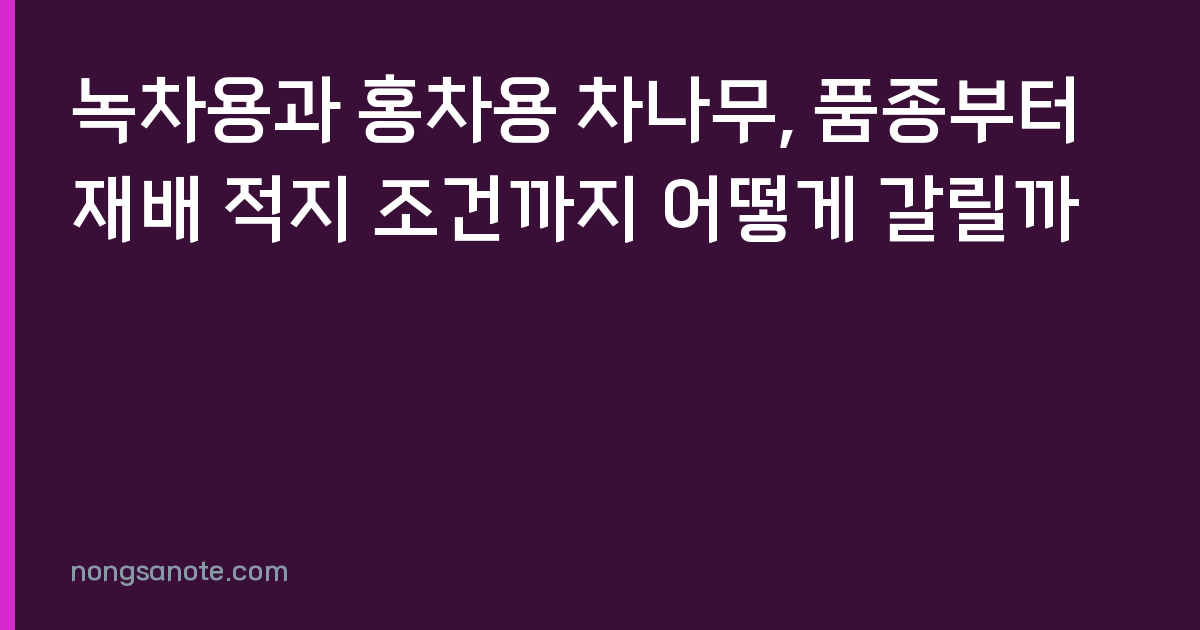 녹차용과 홍차용 차나무, 품종부터 재배 적지 조건까지 어떻게 갈릴까