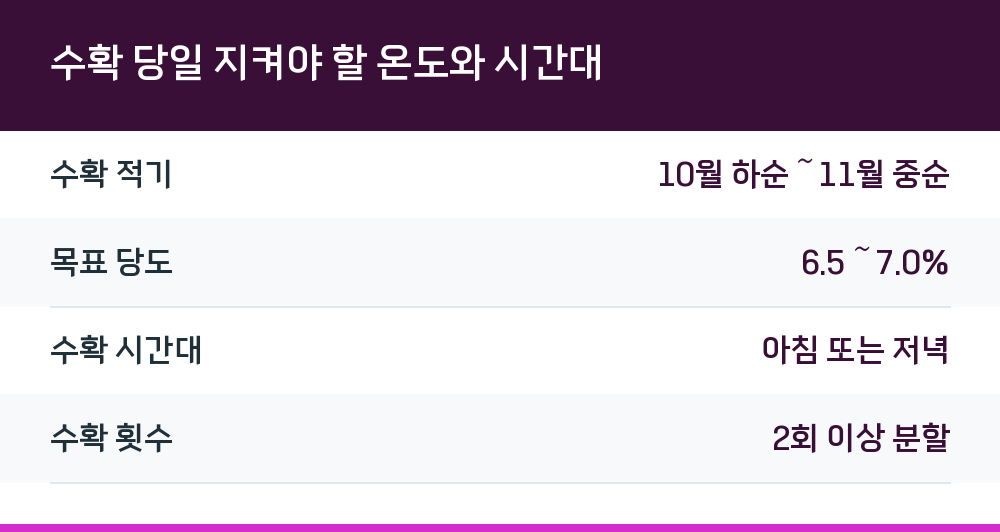 수확 당일 지켜야 할 온도와 시간대