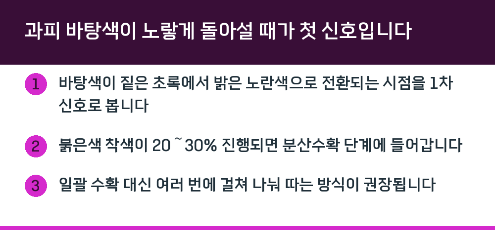 과피 바탕색이 노랗게 돌아설 때가 첫 신호입니다