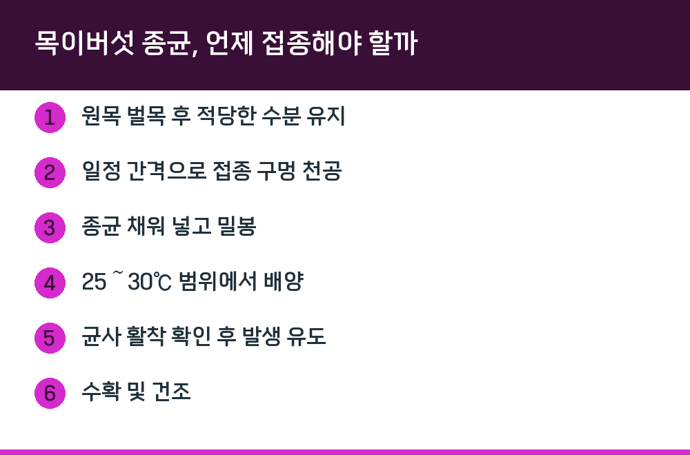 목이버섯 종균, 언제 접종해야 할까