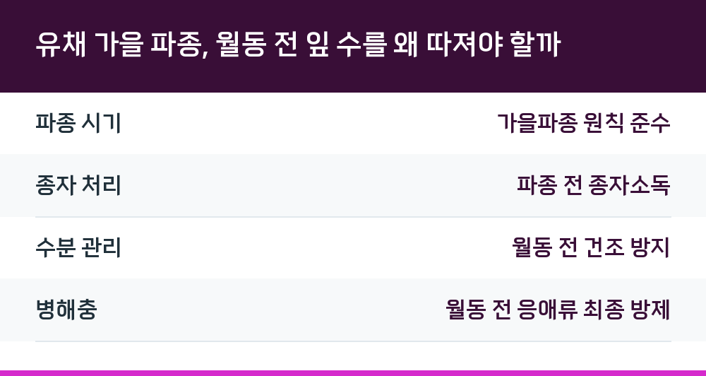 유채 가을 파종, 월동 전 잎 수를 왜 따져야 할까