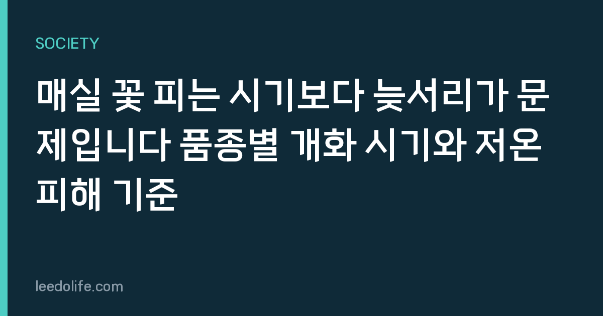 매실 꽃 피는 시기보다 늦서리가 문제입니다 품종별 개화 시기와 저온 피해 기준