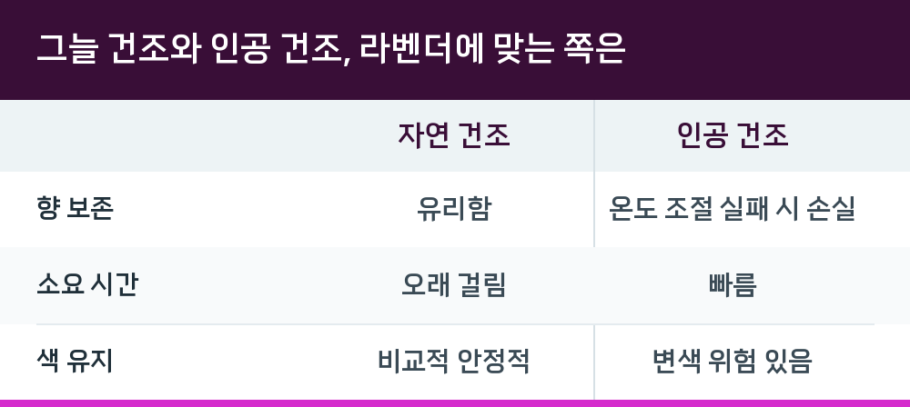 그늘 건조와 인공 건조, 라벤더에 맞는 쪽은