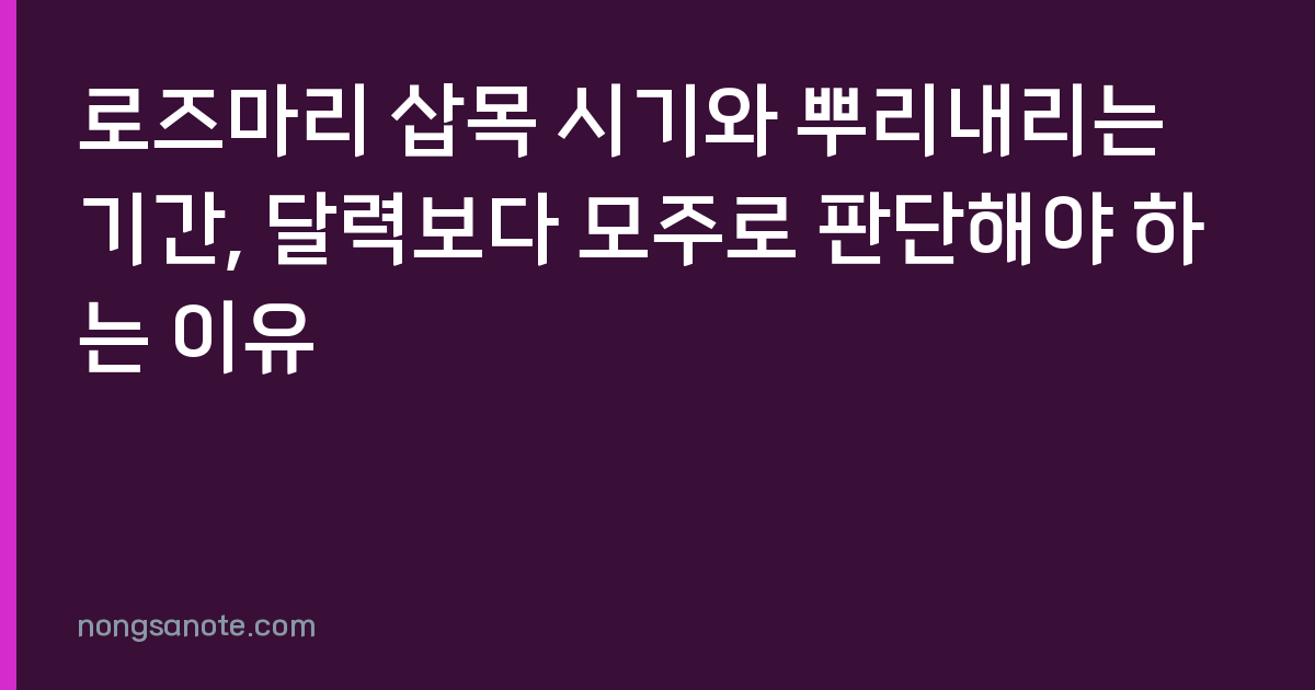 로즈마리 삽목 시기와 뿌리내리는 기간, 달력보다 모주로 판단해야 하는 이유