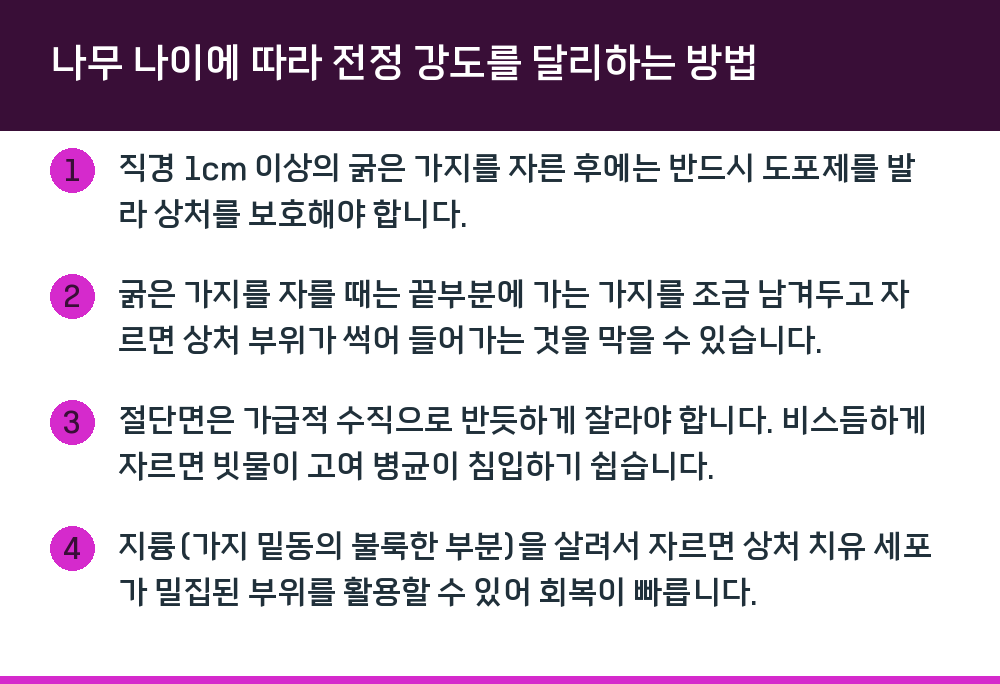 나무 나이에 따라 전정 강도를 달리하는 방법