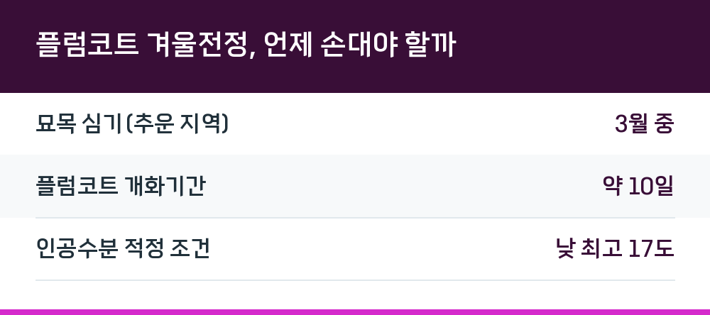 플럼코트 겨울전정, 언제 손대야 할까
