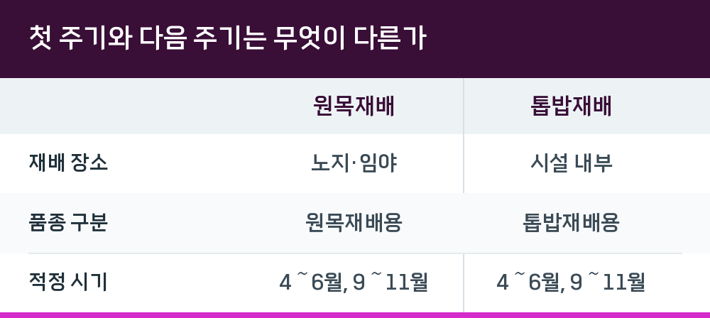 첫 주기와 다음 주기는 무엇이 다른가