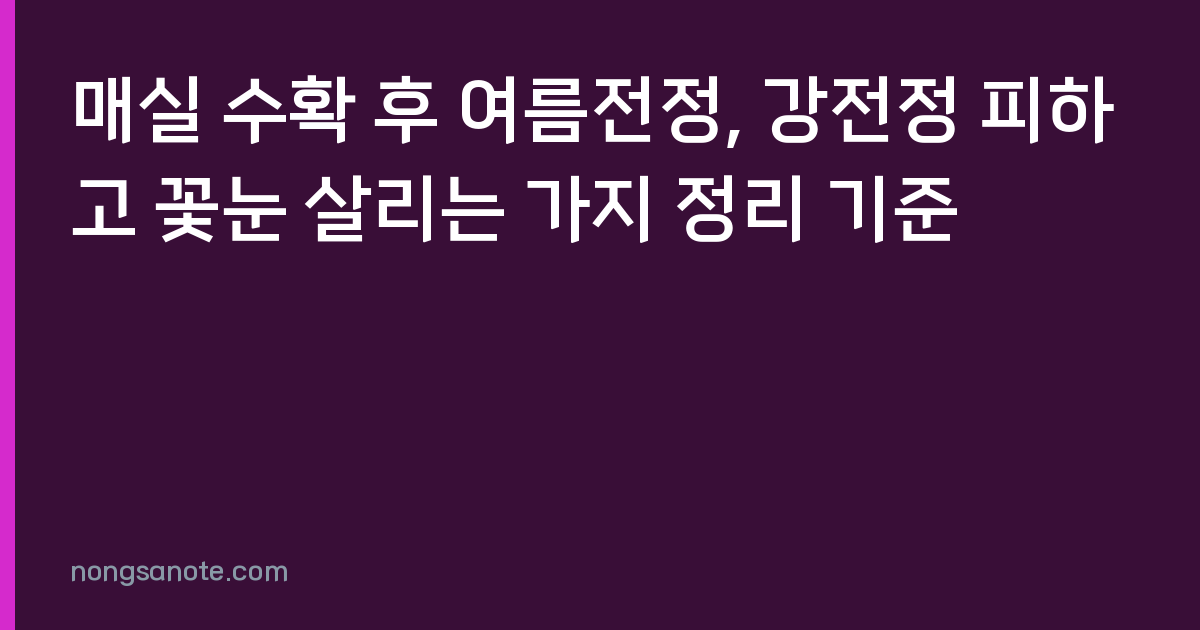 매실 수확 후 여름전정, 강전정 피하고 꽃눈 살리는 가지 정리 기준