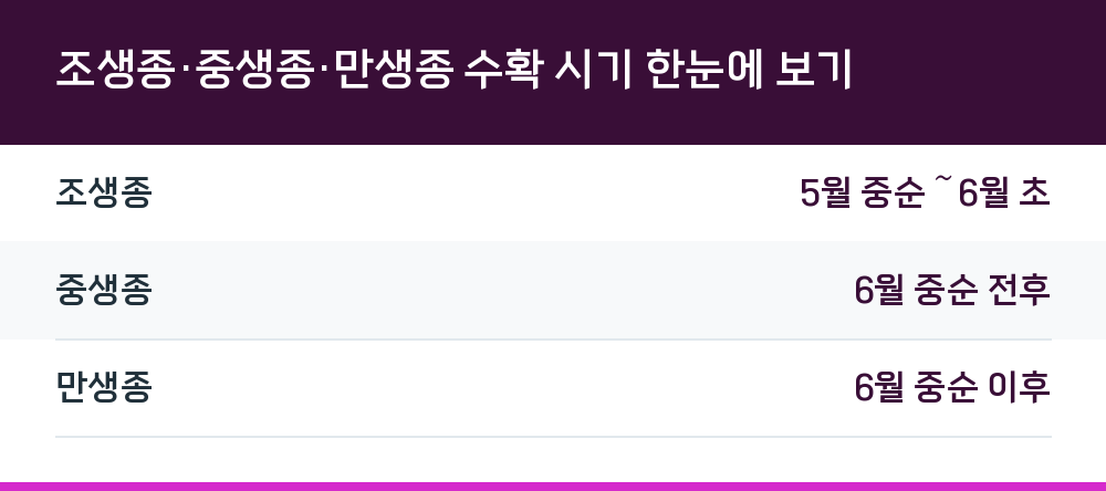 조생종·중생종·만생종 수확 시기 한눈에 보기