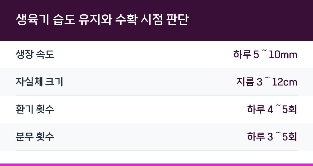 생육기 습도 유지와 수확 시점 판단