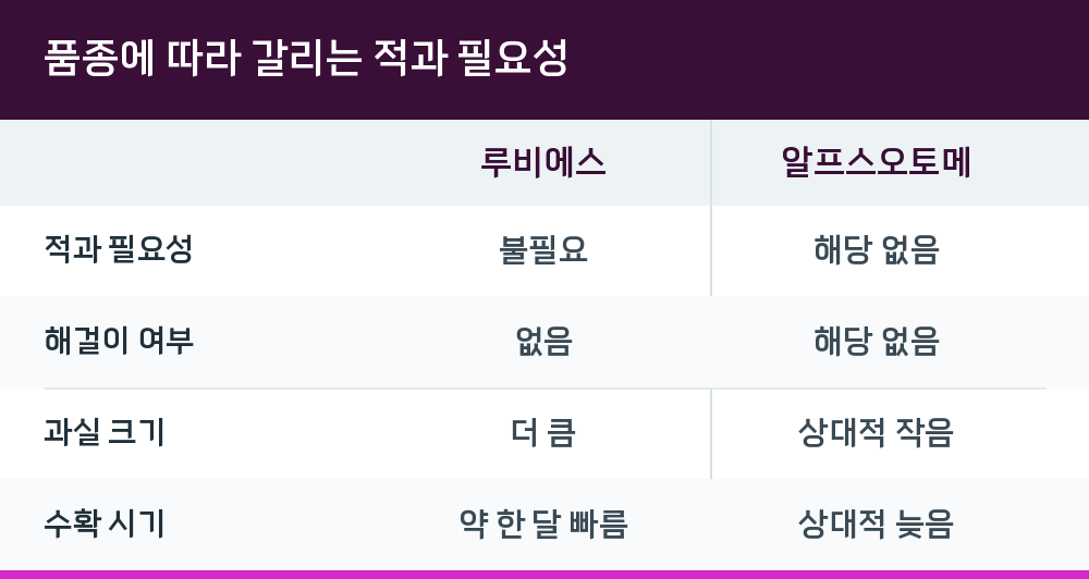 품종에 따라 갈리는 적과 필요성