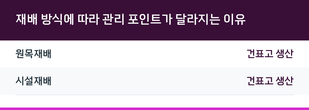재배 방식에 따라 관리 포인트가 달라지는 이유