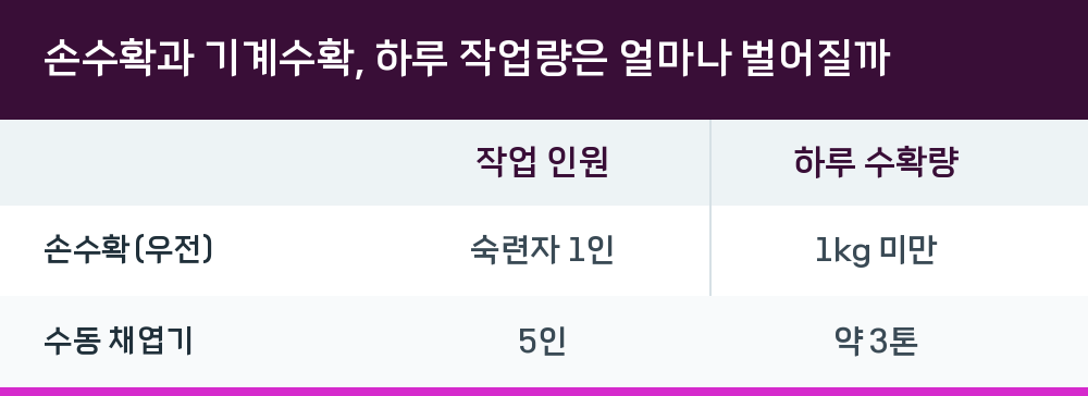 손수확과 기계수확, 하루 작업량은 얼마나 벌어질까