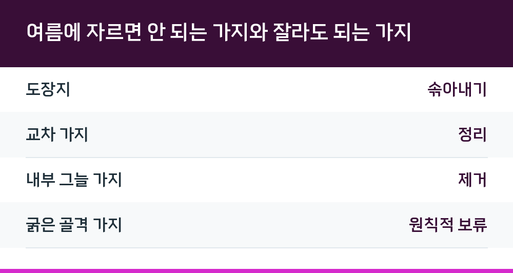 여름에 자르면 안 되는 가지와 잘라도 되는 가지
