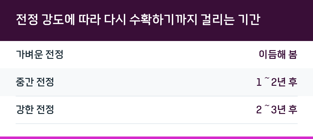전정 강도에 따라 다시 수확하기까지 걸리는 기간