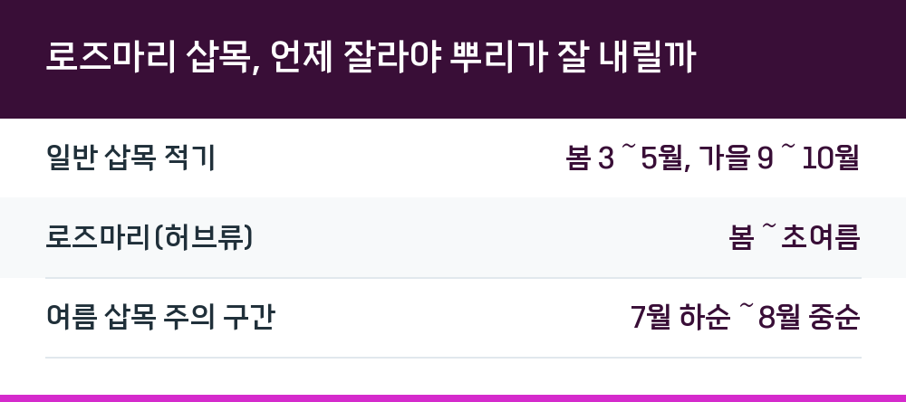 로즈마리 삽목, 언제 잘라야 뿌리가 잘 내릴까