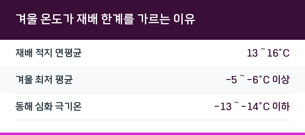 겨울 온도가 재배 한계를 가르는 이유