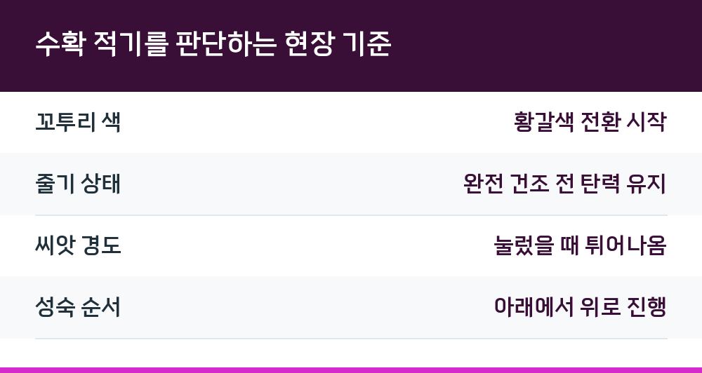 수확 적기를 판단하는 현장 기준