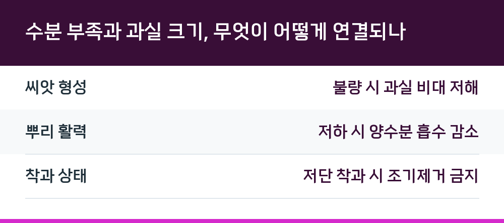 수분 부족과 과실 크기, 무엇이 어떻게 연결되나