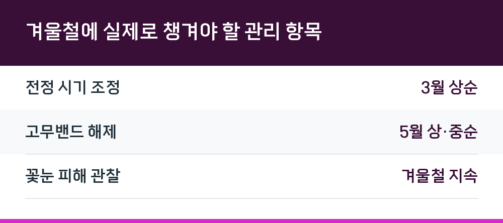 겨울철에 실제로 챙겨야 할 관리 항목