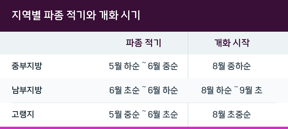 지역별 파종 적기와 개화 시기