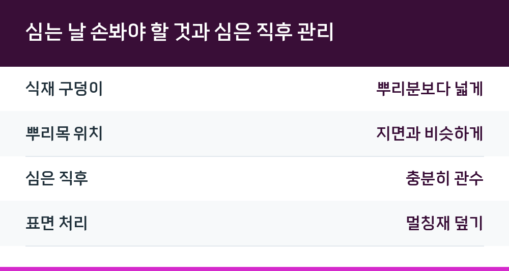 심는 날 손봐야 할 것과 심은 직후 관리
