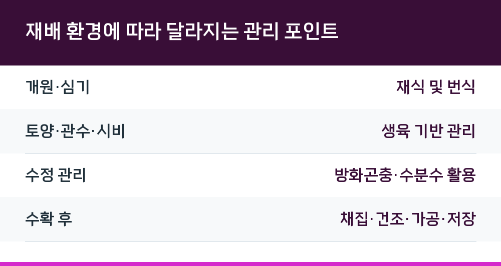 재배 환경에 따라 달라지는 관리 포인트
