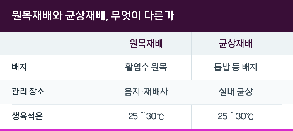 원목재배와 균상재배, 무엇이 다른가