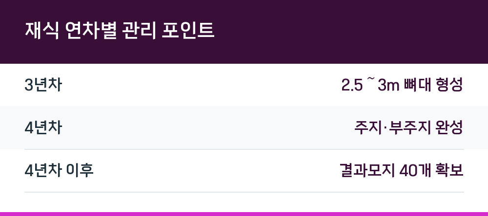 재식 연차별 관리 포인트