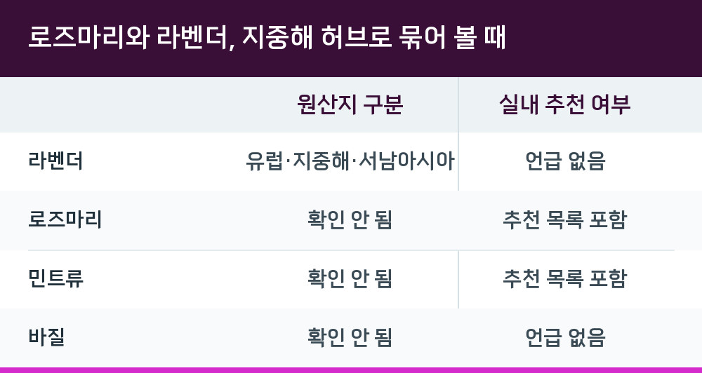 로즈마리와 라벤더, 지중해 허브로 묶어 볼 때