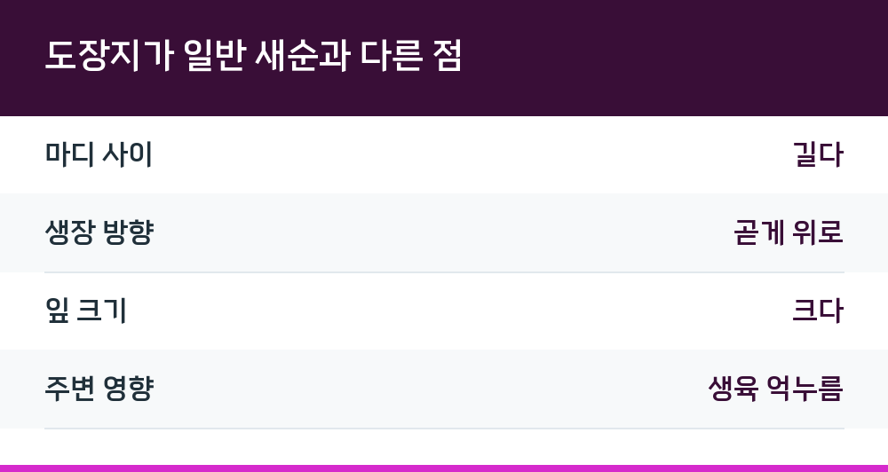 도장지가 일반 새순과 다른 점