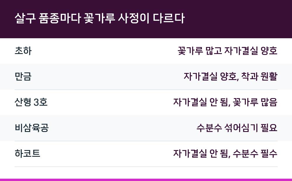 살구 품종마다 꽃가루 사정이 다르다