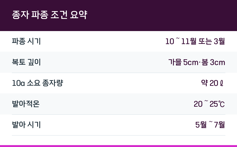 종자 파종 조건 요약