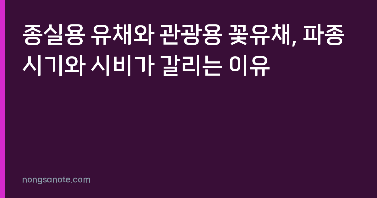 종실용 유채와 관광용 꽃유채, 파종 시기와 시비가 갈리는 이유