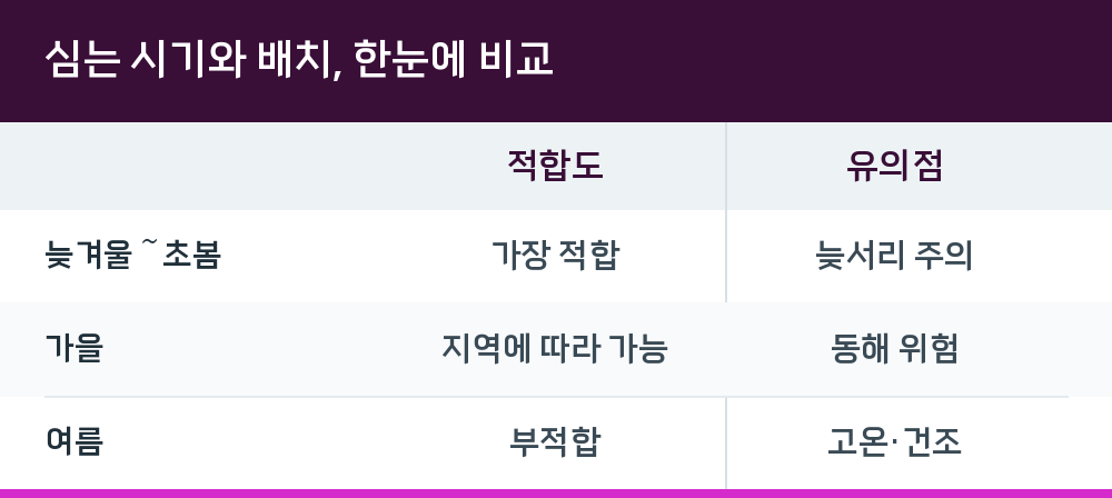 심는 시기와 배치, 한눈에 비교