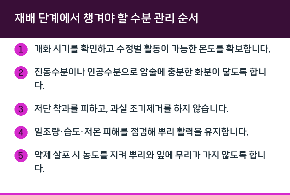 재배 단계에서 챙겨야 할 수분 관리 순서