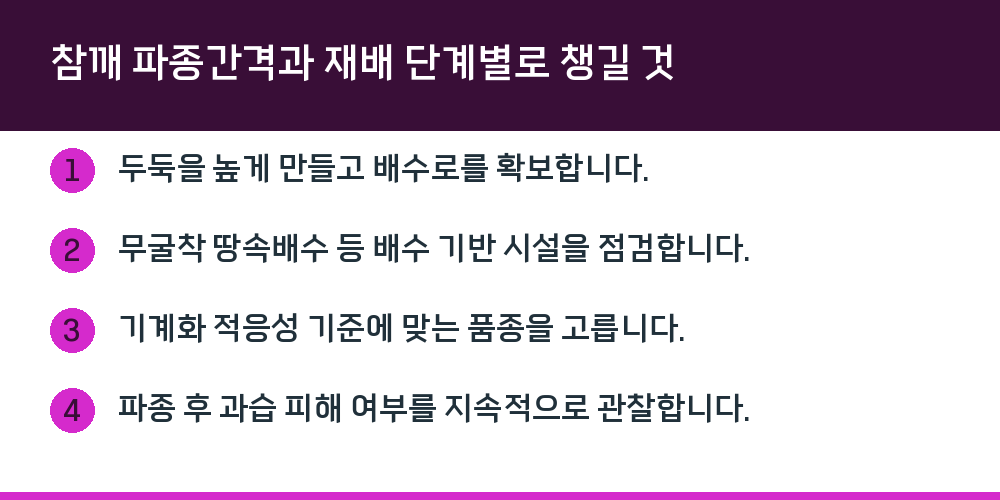 참깨 파종간격과 재배 단계별로 챙길 것