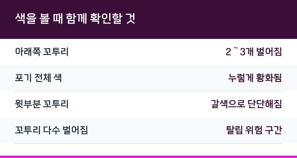 색을 볼 때 함께 확인할 것